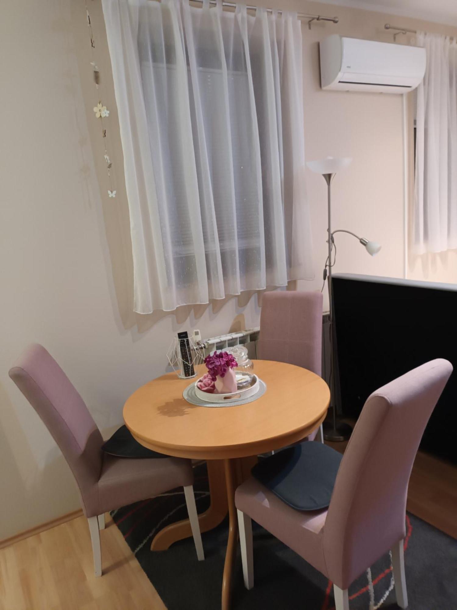 Studio Apartman Salopek Ogulin Exterior foto